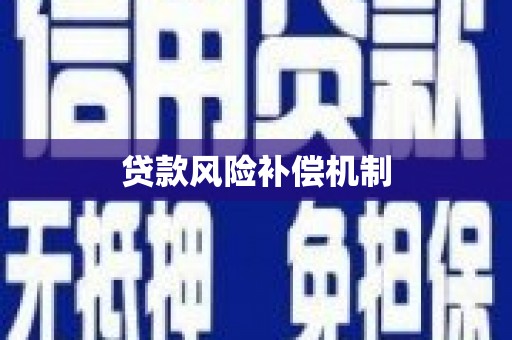 新洲贷款风险补偿机制