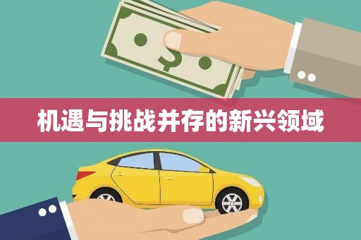 恒山机遇与挑战并存的新兴领域