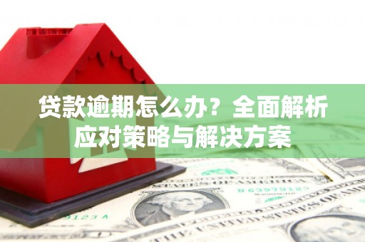 上城贷款逾期怎么办？全面解析应对策略与解决方案
