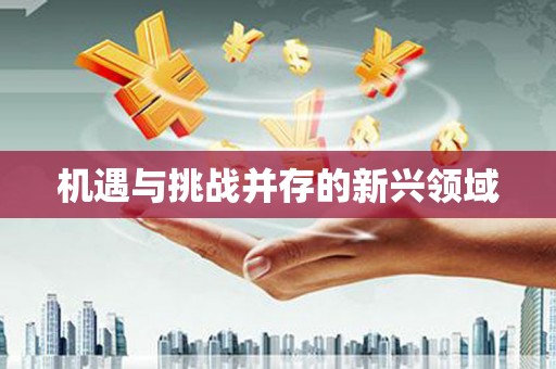 城中机遇与挑战并存的新兴领域