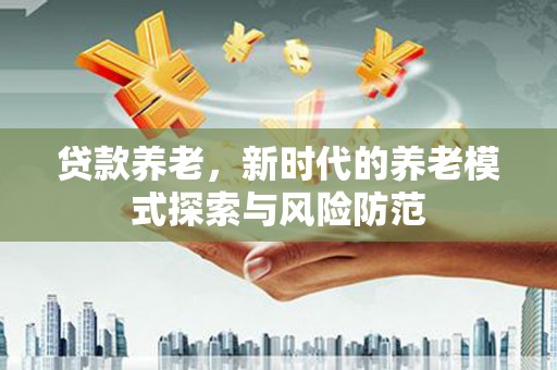 美溪贷款养老，新时代的养老模式探索与风险防范