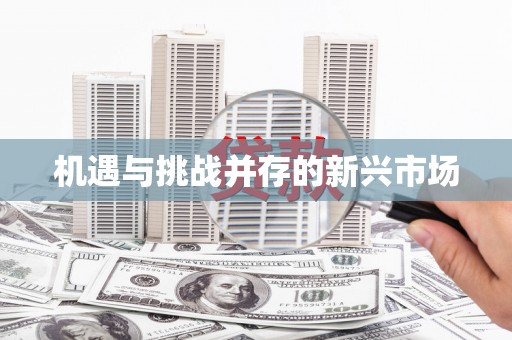 龙凤机遇与挑战并存的新兴市场