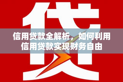 西盟信用贷款全解析，如何利用信用贷款实现财务自由
