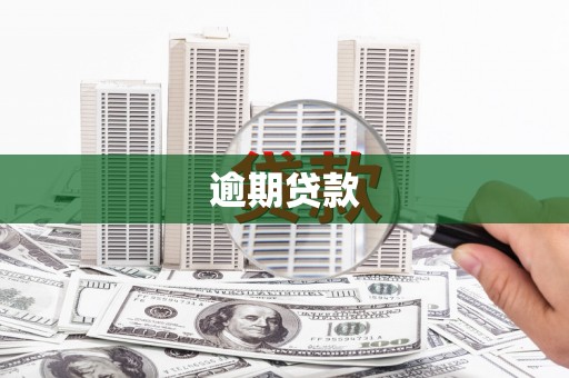 大安逾期贷款