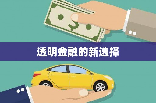宁海透明金融的新选择
