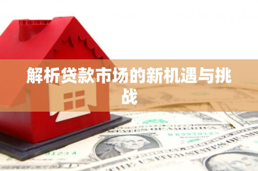 扶绥解析贷款市场的新机遇与挑战