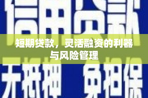 资兴短期贷款，灵活融资的利器与风险管理