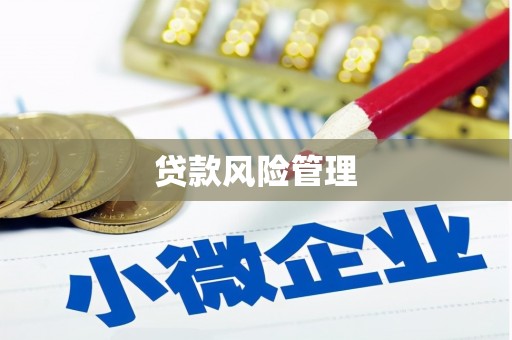 曲水贷款风险管理
