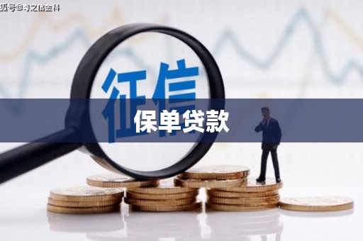 二水保单贷款 二水保单贷款